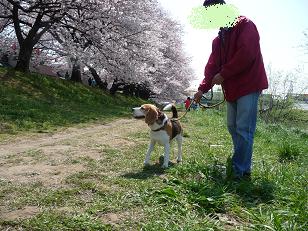 お父さんと一緒♪