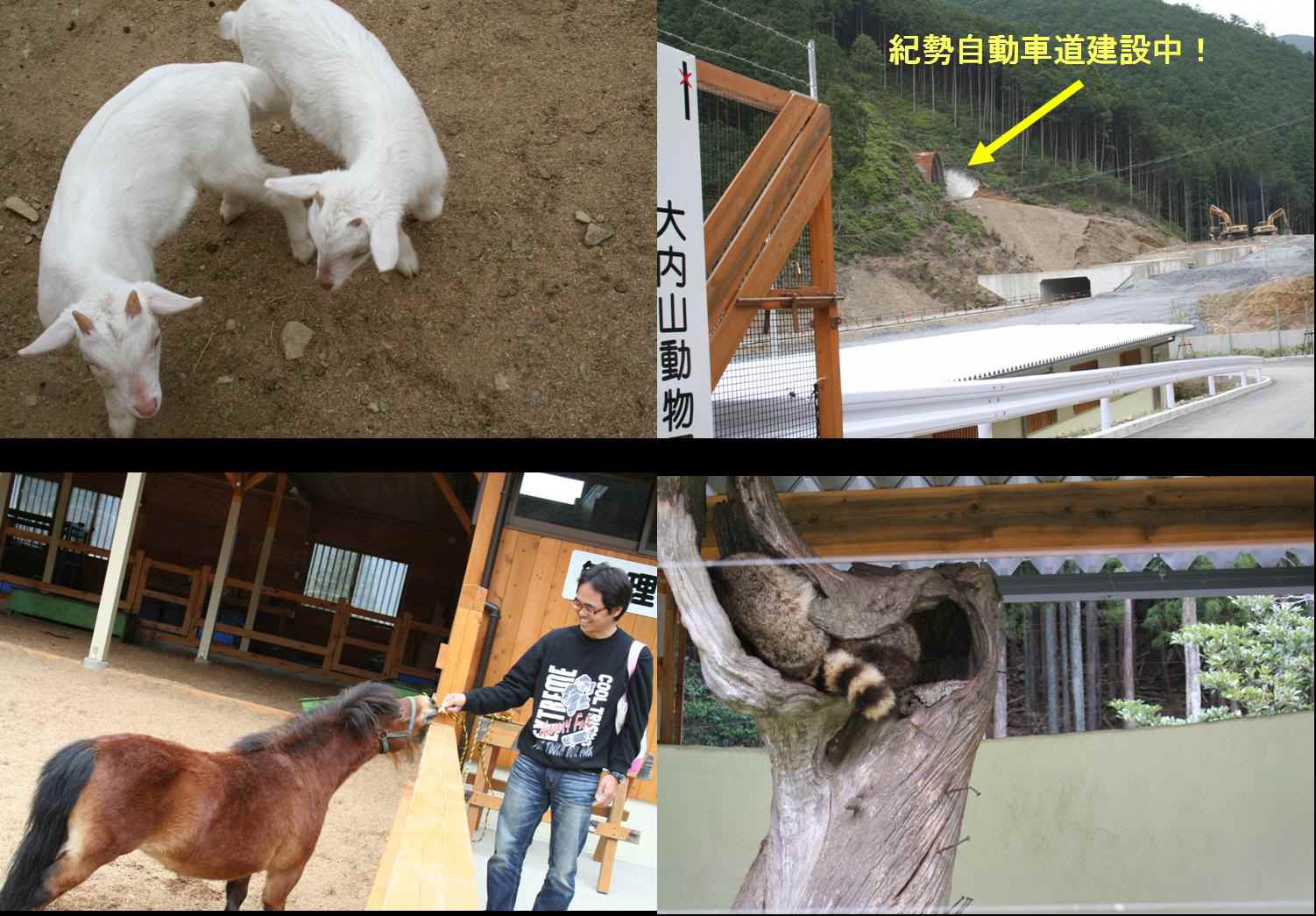 z大内山動物園1.jpg