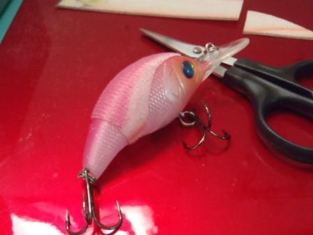 20110520g.jpg