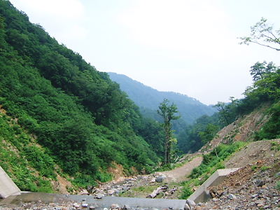 6月28日石川県からの登りの川上御前、と大トチノ木 002.jpg