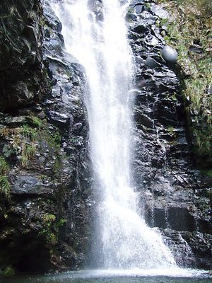 ２００９年４月２９日（水）こつぶり山からの白山 020.jpg