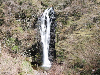 ２００９年４月２９日（水）こつぶり山からの白山 017.jpg