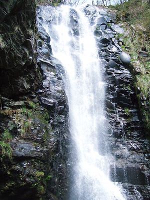 ２００９年４月２９日（水）こつぶり山からの白山 019.jpg