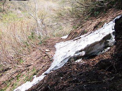 ２００９年４月２９日（水）こつぶり山からの白山 016.jpg