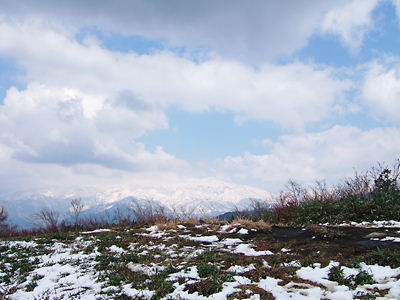 ２００９年４月２９日（水）こつぶり山からの白山 032.jpg