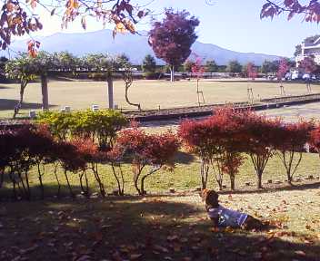 公園＊＊.jpg