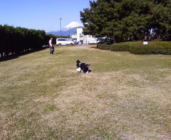 沼津春子＊＊.jpg