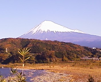富士道の駅より.JPG