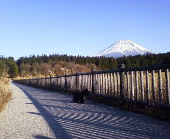 富士山まな.JPG