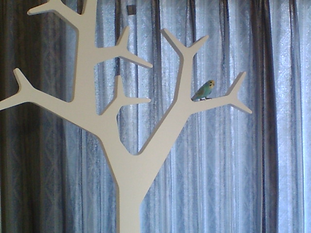 treeとインコちゃん引き