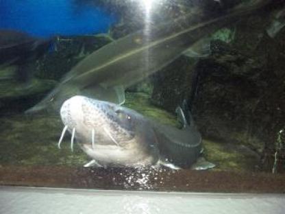 101022_093536[1].jpg