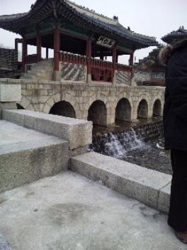 100130_100407[1].jpg