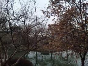 100130_102143[1].jpg