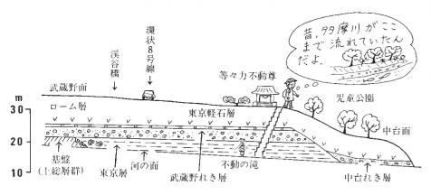 等々力渓谷の地質概念図