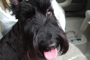 10001.jpg