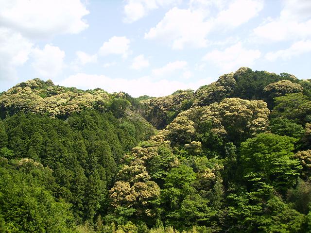 花園村、新緑＆渓谷満喫ツー | バイクとクルマと野外めし - 楽天ブログ