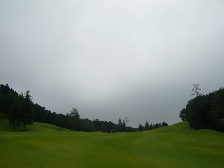 P1050053.jpg