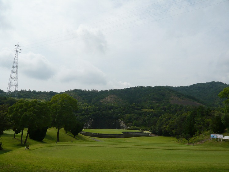 P1050214.jpg