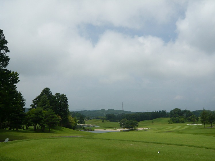 P1050093.jpg
