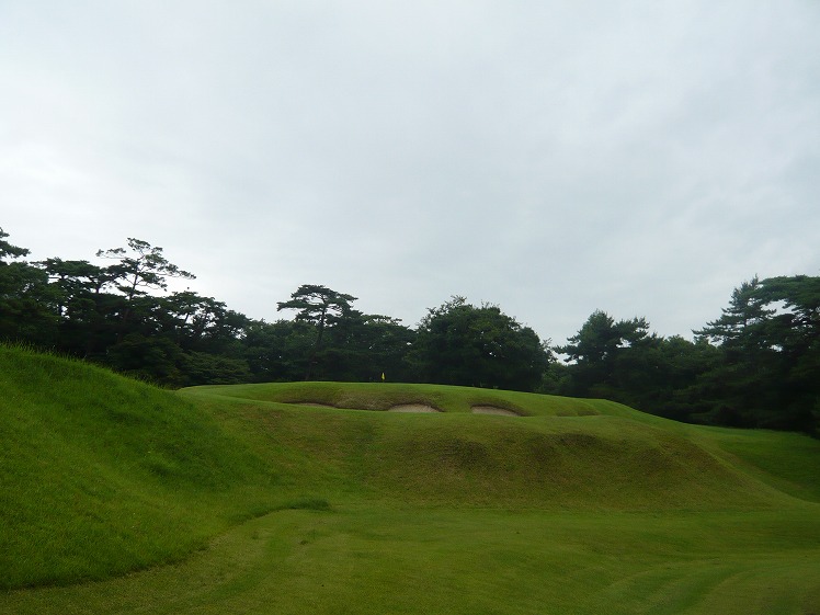 P1040767.jpg