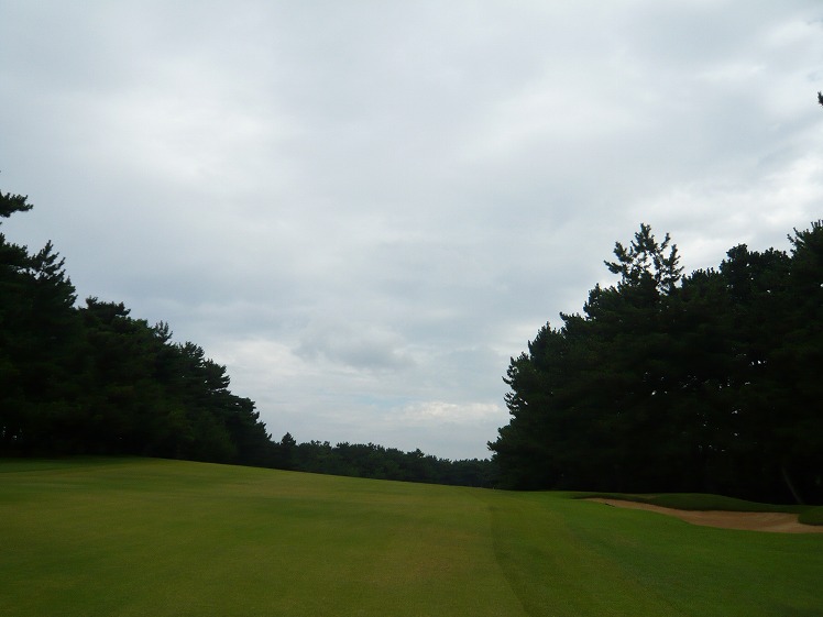 P1050563.jpg