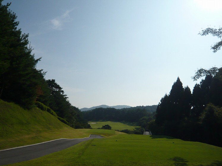 P1050790.jpg