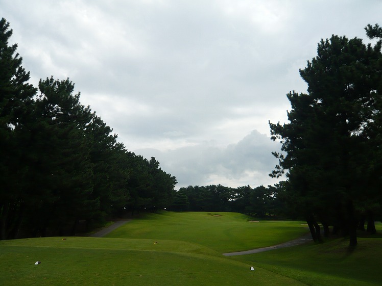 P1050579.jpg