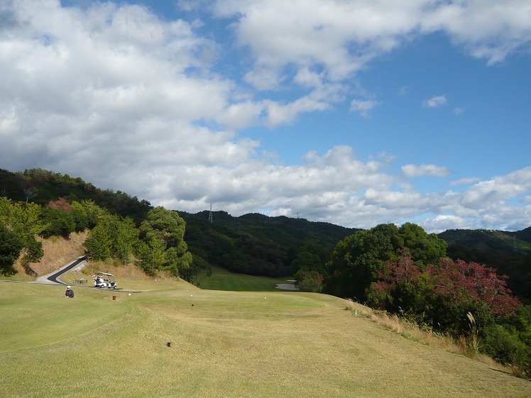 P1060717.jpg
