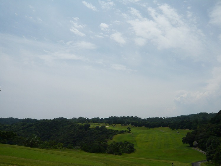 P1050199.jpg