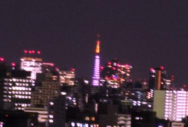 DSC01848.JPG