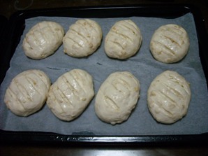 DSCN3217.JPG