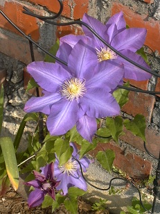 P1020062.JPG