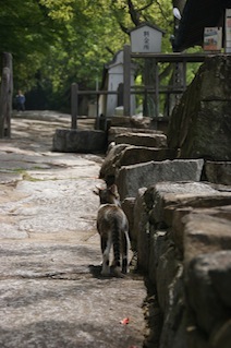 DSC06414.jpg