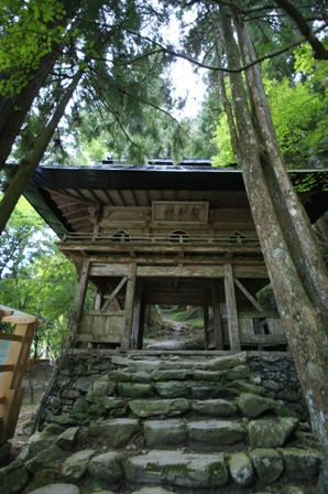 DSC09038.JPG