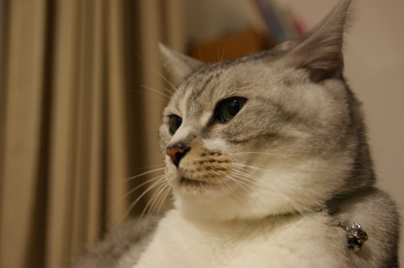 DSC08141.JPG
