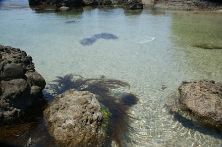 北浦海水浴場