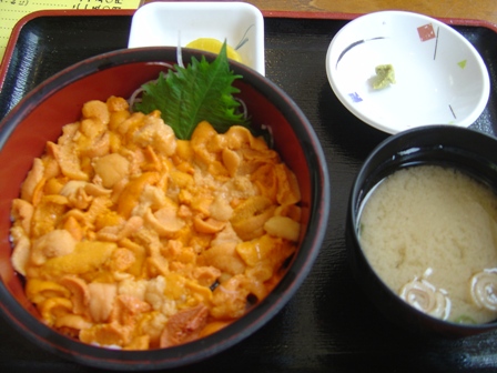赤うに丼