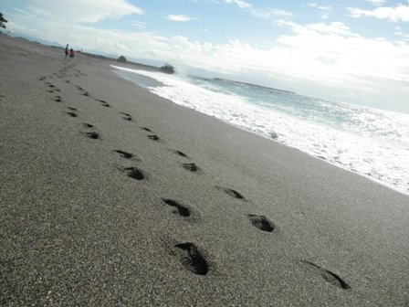 桂浜