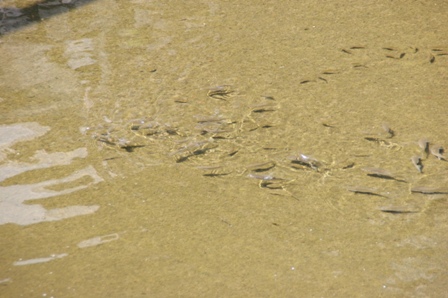 DSC08762.JPG