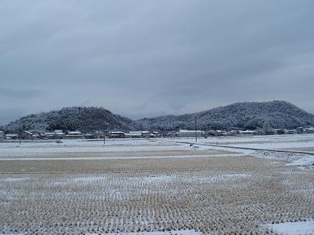 初雪.JPG