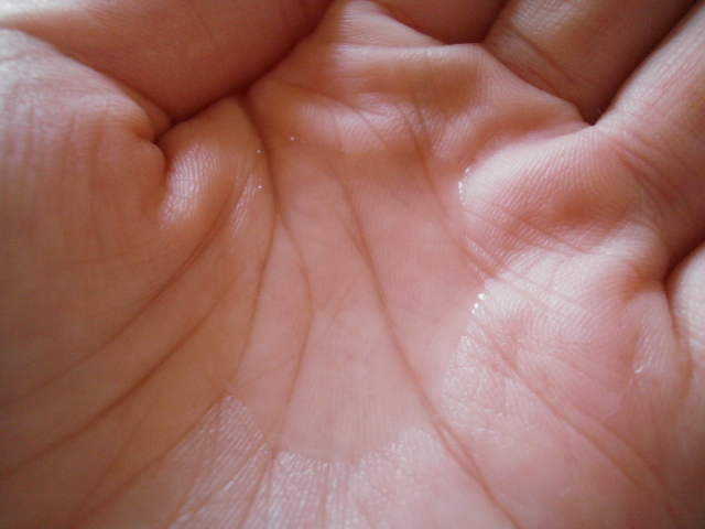 P9140160.JPG