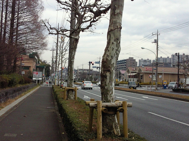 鎌倉街道5