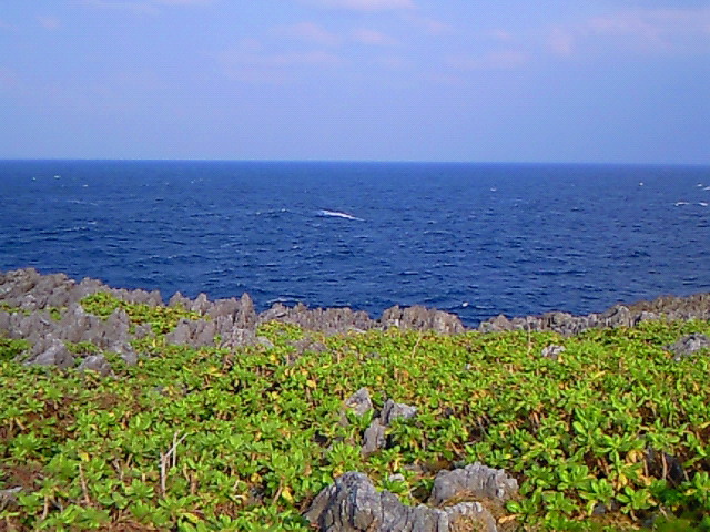 沖縄の海4