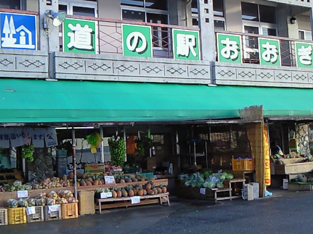 道の駅おおぎみ2