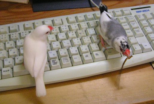 「どこに置こうか考えてるんです」