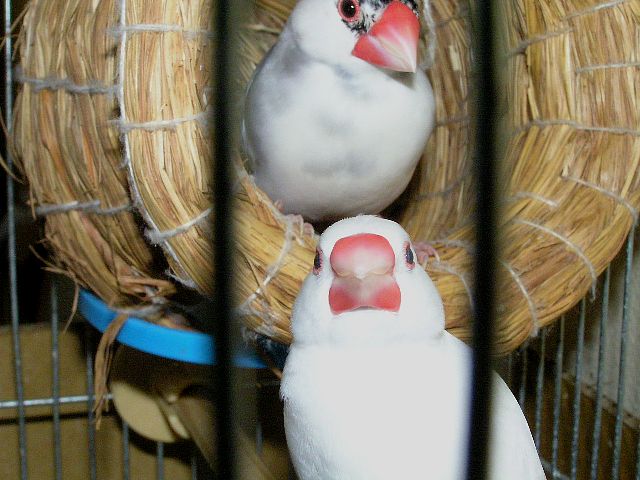 「文句あるのッ？！」すごい！真正面顔です。