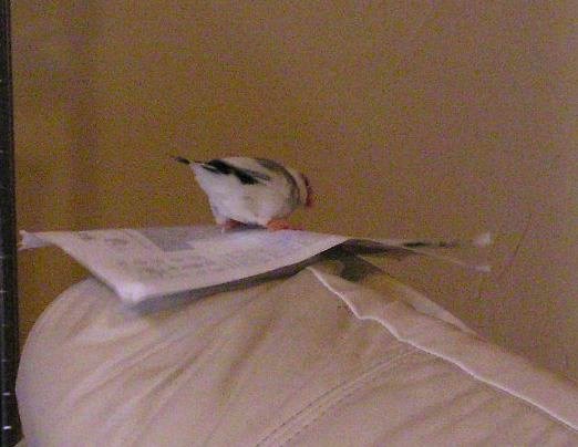 「う～ん、いくら持ち上げても運べなくなった？？」