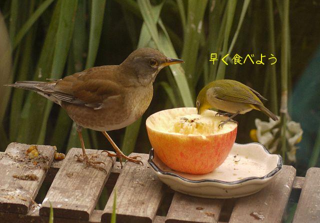 「早く食べよう」