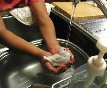 「アヒルじゃないのよッ！！」
