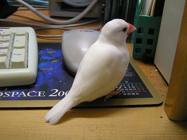 「ファッションとか、グルメな話題はないのかしら」